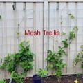 Colorbond  Fence trellis and lattice Hangups(pair)